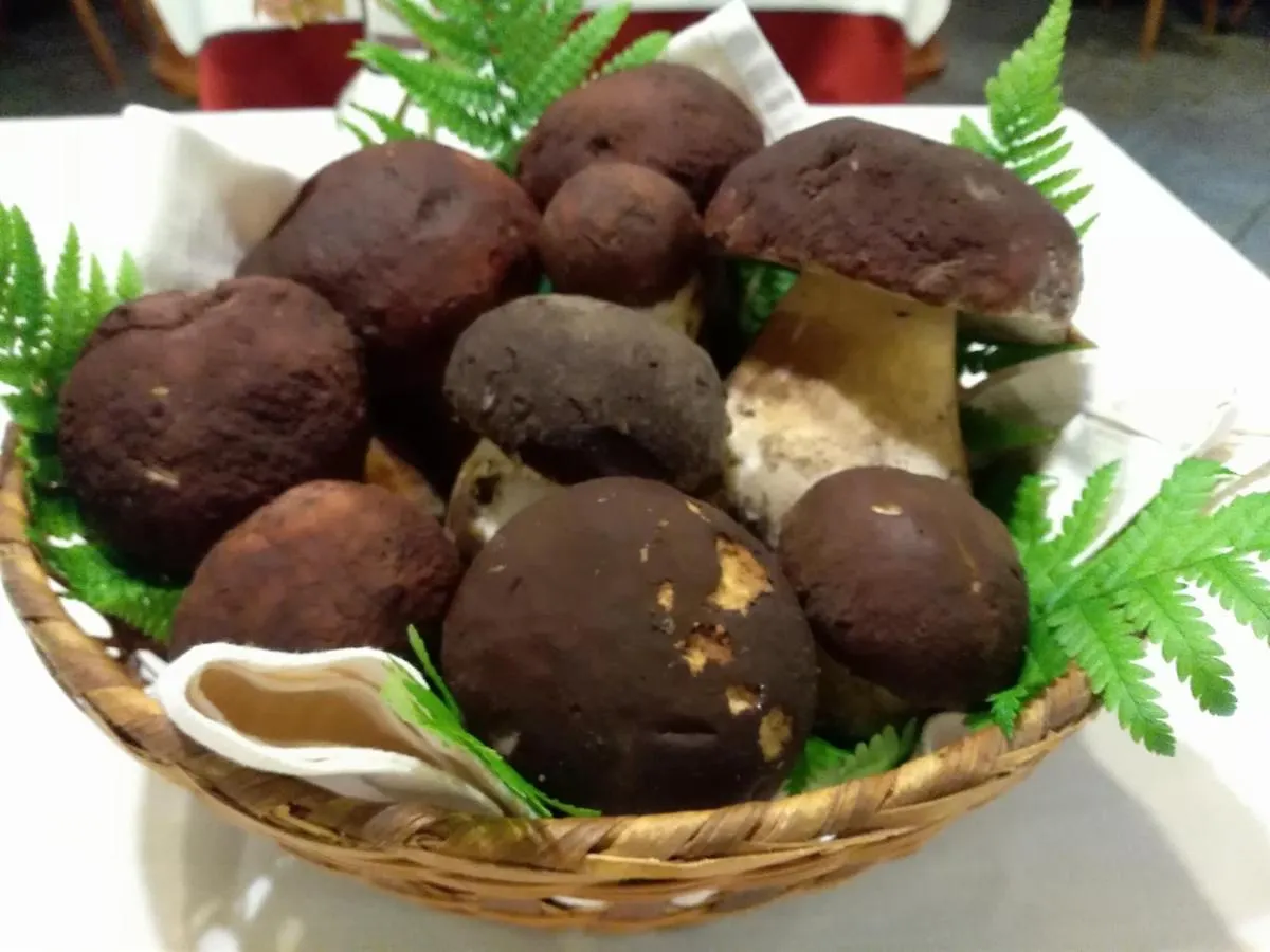 Albergo Ristorante Coppa Dazio 3*,  Italien